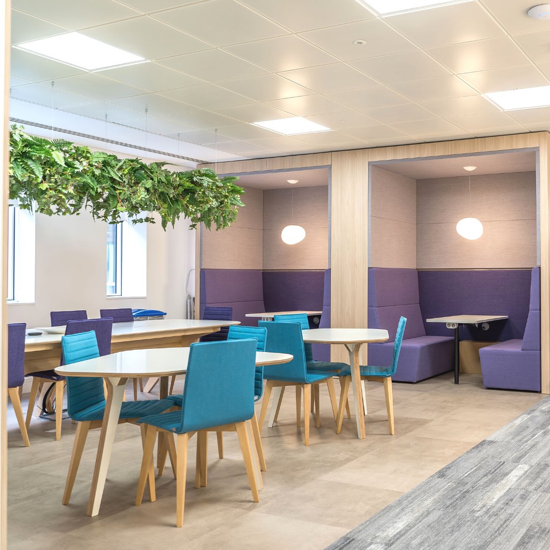 aureogroup's tweet photo. Office inspiration💡
It’s amazing how a few plants and new furniture can make your office look brand new! With our knowledge and expertise, we can help you to create the perfect interior for your workplace. 

Learn more👇
https://t.co/WOmVMOl5pZ

#officemakeover @oilandgasuk https://t.co/pCVCI58cjp