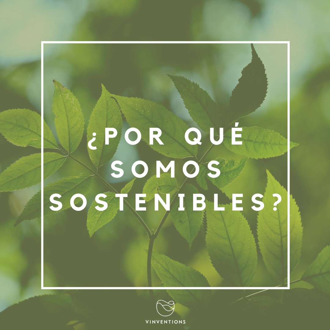 vinventions_es's tweet photo. ¿POR QUÉ SOMOS SOSTENIBLES EN VINVENTIONS?
#ecoresponsable #packaging #vino #sostenibilidad #taponesdevino #cierres #enologia #zerowaste #wastewarrior #savewater #energiarenovable #reciclable #recycle #circularidad #economiacircular #medioambiente #comunidad #igualdad #sociedad https://t.co/saVewoy4kT