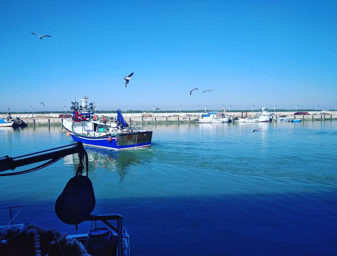 Buenos días!!🤗
Hoy celebramos la JORNADA DE PRESENTACION DE RESULTADOS DEL PROYECTO ECOFISH 2 Y 
LA PRESENTACIÓN DE ECOFISH +.
Seguimos trabajando por unas #pesqueriasostenibles 💪🐟
<a href="/fecopesca/">Federación de Cofradías de Pescadores de Cádiz</a>
<a href="/FBiodiversidad/">Fundación Biodiversidad</a>