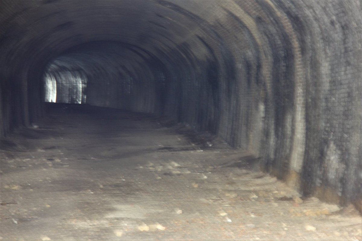 TonyHom33's tweet photo. Exploring the #ElhamValleyLine (closed 1948) that once linked Folkestone to Canterbury. The #BournePark tunnel at #Bishopsbourne
@GrimArtGroup
Exploring Tip: Don't hold on to a rotten branch unless you want to slide down the embankment on your a*se https://t.co/CA0a9lH2J2