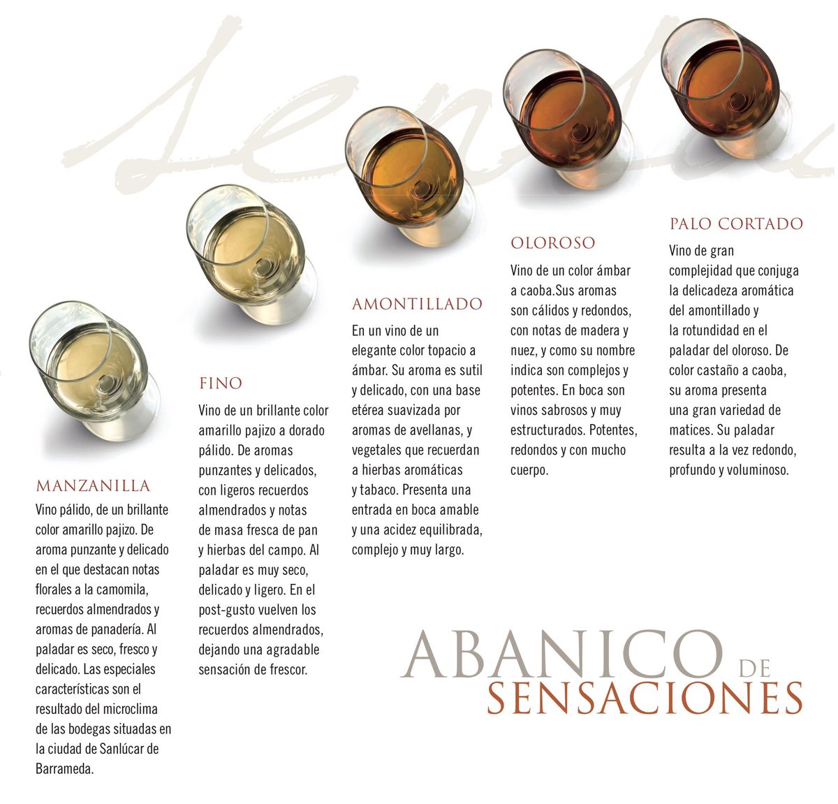 aprenderdevino1's tweet photo. Cata de los Vinos Generosos de Jerez https://t.co/nEYtCBKOm6