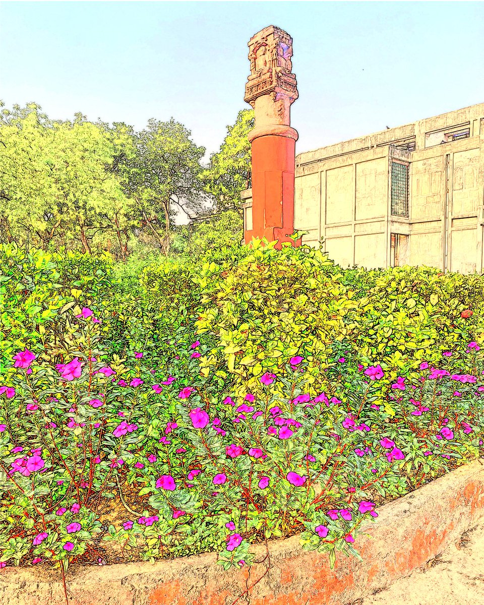 ldmuseum's tweet photo. Send us your interpretation of our Museum and campus.

Thank you @NanavatiUttara for sharing your artwork.
'Being in the natural and cultural surroundings of the museum campus is unwinding indeed. Ringing in Summer on the museum campus with these periwinkle blossoms.'-the Artist https://t.co/neeEmg5UaD