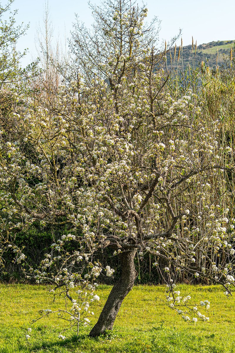 Udaberria soratzen.
<a href="/starbienatotxa/">STARBIEN DONOSTIA</a> <a href="/Karhobi/">KarobiPhoto</a> <a href="/martlbe/">martlb #FreePalestine 🏳️‍🌈 ❤💛💜</a> <a href="/Mosinaiz/">Mimi</a> <a href="/ZubizarretaPili/">Pili Zubizarreta Salvador</a> <a href="/sandrika24/">Sandra Ayala Cano</a> <a href="/ane_maite/">xuxurlatuaz</a> <a href="/Obikani/">Iñaki B</a> <a href="/gaitzazpi1/">gaitzazpi</a>