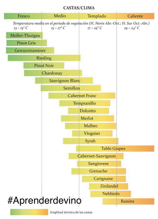 XKWINE's tweet photo. Sensibilidad de las diferentes variedades a la climatología
#aprenderdevino. https://t.co/wLd7zs5oP1
