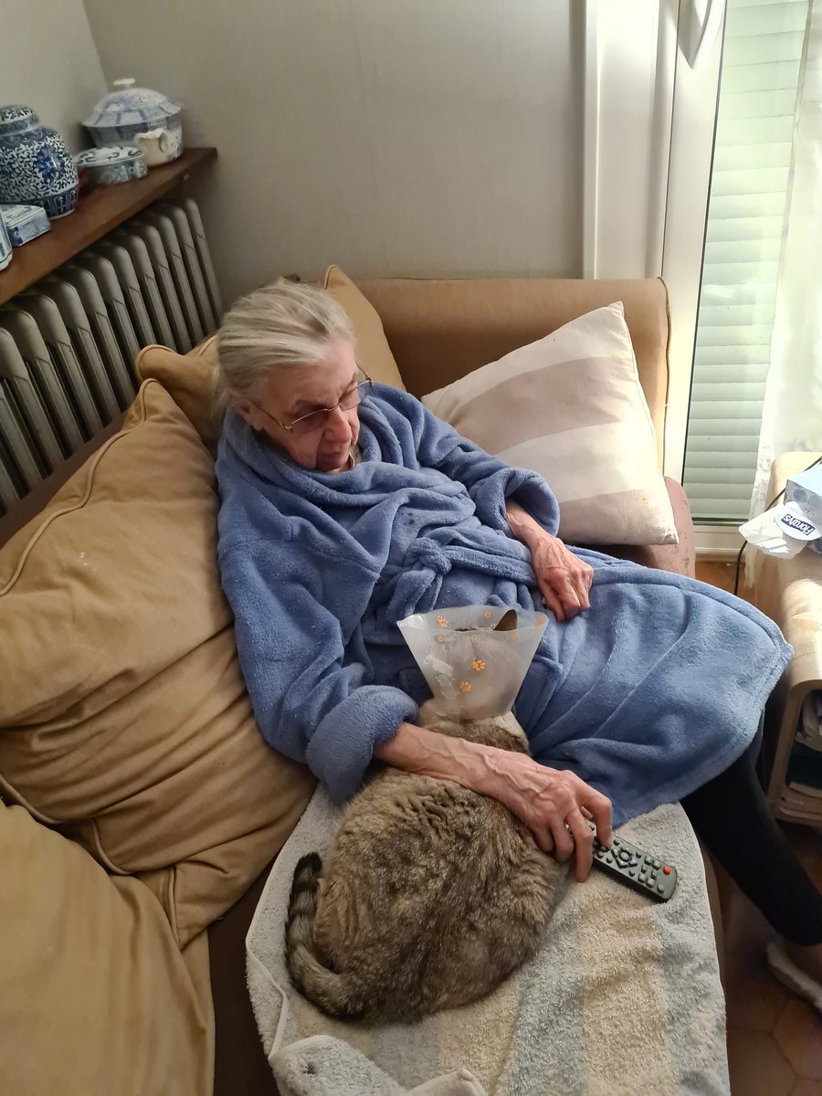 Tinaxparkx's tweet photo. C'est la 1ER fois que je fais ça mais le CHAT de ma mamie est très malade, il besoin de soin&amp; avec la ptite retraite de ma mamie+ mon chômage payer la facture de véto (+celles qui vont suivre car il ne va pas mieux) si vous pourriez faire un geste ou RT https://t.co/aWapNZfIS5 https://t.co/lC8mccbRm0