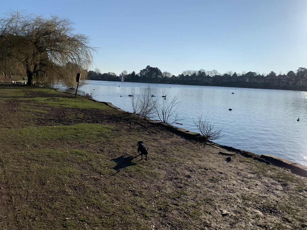 jemimakbushby's tweet photo. We loved being part of this challenge #SteppingintoSpring @HeadwayUK please donate below if you can πΌ https://t.co/byI87dFKPF