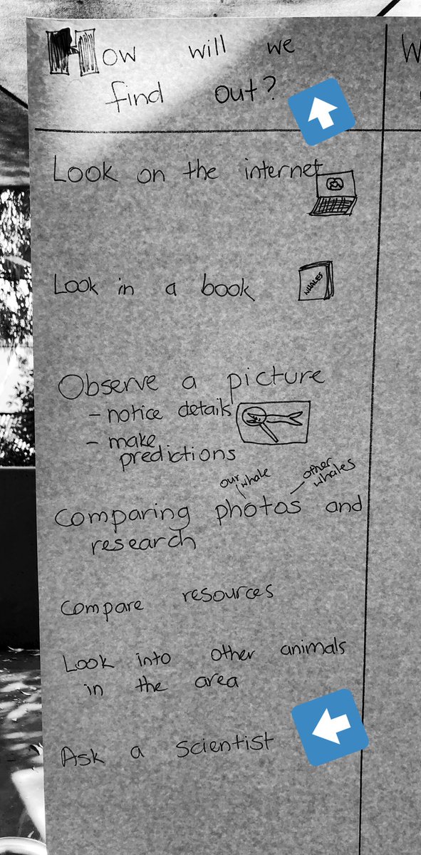 Emily Fintelman tweet media