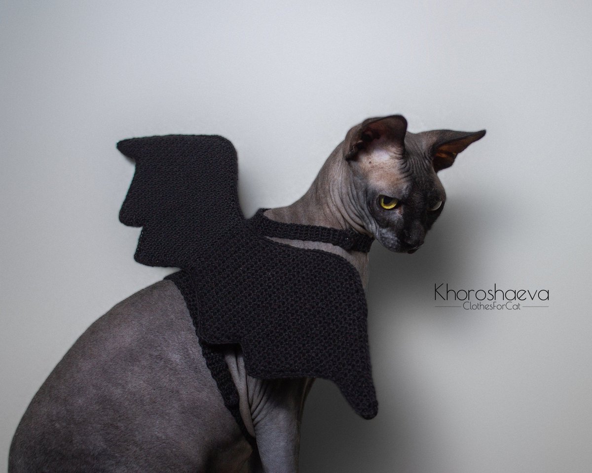 ClothesForCat's tweet photo. Excited to share the latest addition to my #etsy shop: Halloween costume for cat crochet pattern PDF, Bat wings for cat, Crochet bat wings https://t.co/xTtjfXmczj #birthday #halloween #crochet #catcostume #batcatwings #catcrochetpattern #catpdf #halloweencatwings #wing https://t.co/61jbwvFzOE