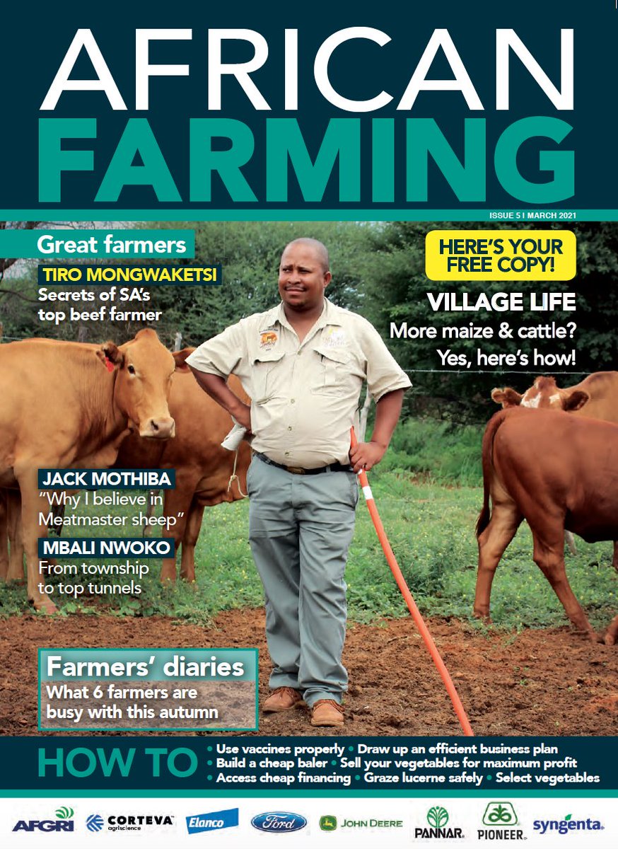 africanfarming_'s tweet photo. FREE! Have you read the new edition of #AfricanFarming magazine with Tiro Mongwaketsi, winner of the ARC's National Beef Producer of the Year, on the cover? Read about farmers building their businesses and get valuable farming advice. Click to download: https://t.co/FGDsQPHonf https://t.co/qSrY2sX0KA