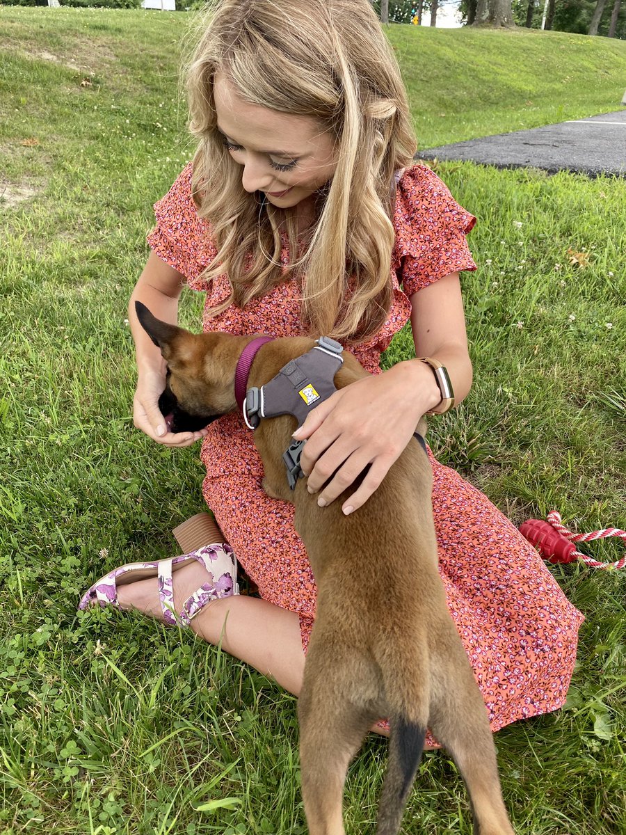 BrittanyWier's tweet photo. Today is #NationalPuppyDay! Over the past year I have had the chance to welcome a number of hard working puppies to our area. They have all grown up so much since these pictures. #K9Duke #K9Nova #K9Mac https://t.co/4nl3A5BErM