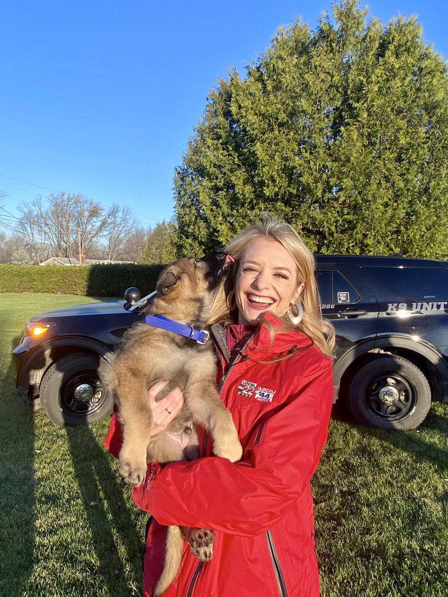 BrittanyWier's tweet photo. Today is #NationalPuppyDay! Over the past year I have had the chance to welcome a number of hard working puppies to our area. They have all grown up so much since these pictures. #K9Duke #K9Nova #K9Mac https://t.co/4nl3A5BErM