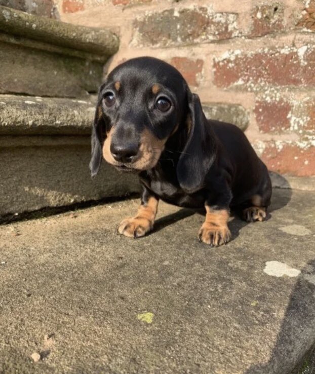 Gabbi Trotter 👩‍💻 tweet media