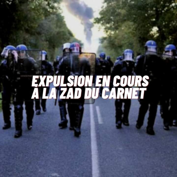 DouarHa's tweet photo. Douar ha Frankiz appel au soutien à la #ZadDuCarnet qui s'est faite expuls��e par 800 gendarmes mobiles ce matin.
✊ Rendez-vous devant la préfecture de Nantes à midi et devant les églises de Paimboeuf, Frossay et Saint-Viaud dans la journée.
#Bretagne
https://t.co/3iiQEGdmu8 https://t.co/RdwnpeM5CB