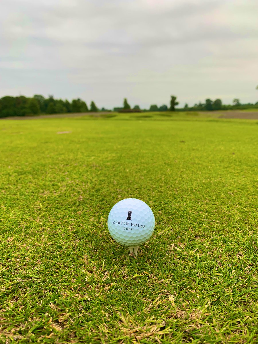 CartonHouseGolf's tweet photo. Our busy diary of @IGTMarket meetings is underway - looking forward to sharing the many wonderful aspects of our restoration to golf travel partners around the world ⛳️☘️🌍😹

#IGTMLinks https://t.co/OKYwltyWC5