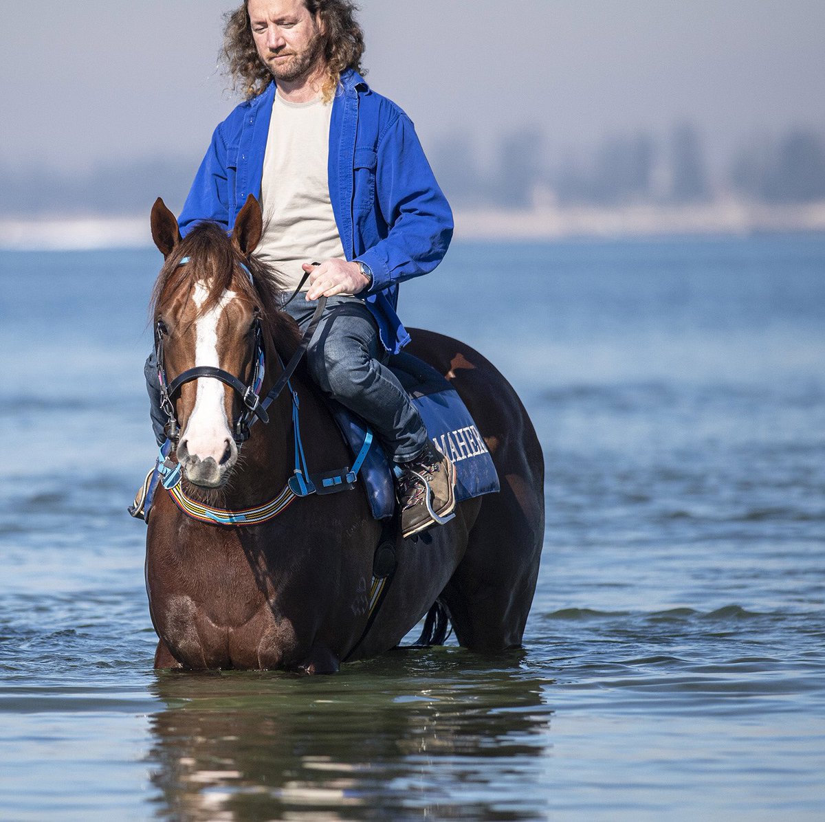 Ciaron Maher Racing tweet media