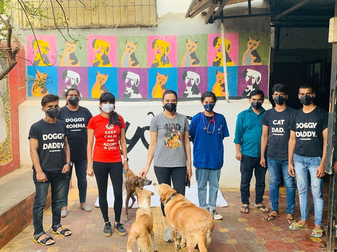realpreityzinta's tweet photo. So nice to visit @yodamumbai An awesome Shelter for dogs &amp; cats, where strays &amp; other dogs n cats are cared for, neutered &amp; treated for diseases &amp; ailments👍One of these dogs is a retired police dog waiting to be adopted. So if you want some pawsome love don’t hesitate❤️#ting https://t.co/vJ2t2K6rjI