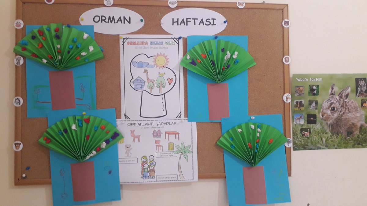 UcerliI's tweet photo. Orman Haftası 🌱🌿
@mardinilmem @SavurMem @abdurrahimdmr47 @ahmetyalcin2005 @abdubakitek https://t.co/RQcZ92vqlQ