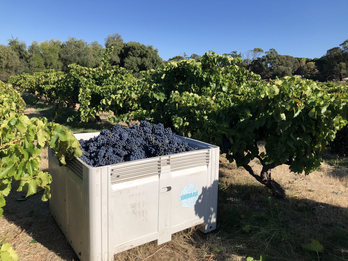 Ben Lacey tweet media