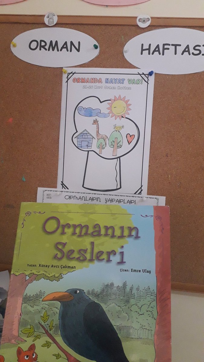 UcerliI's tweet photo. Orman Haftası 🌱🌿
@mardinilmem @SavurMem @abdurrahimdmr47 @ahmetyalcin2005 @abdubakitek https://t.co/RQcZ92vqlQ