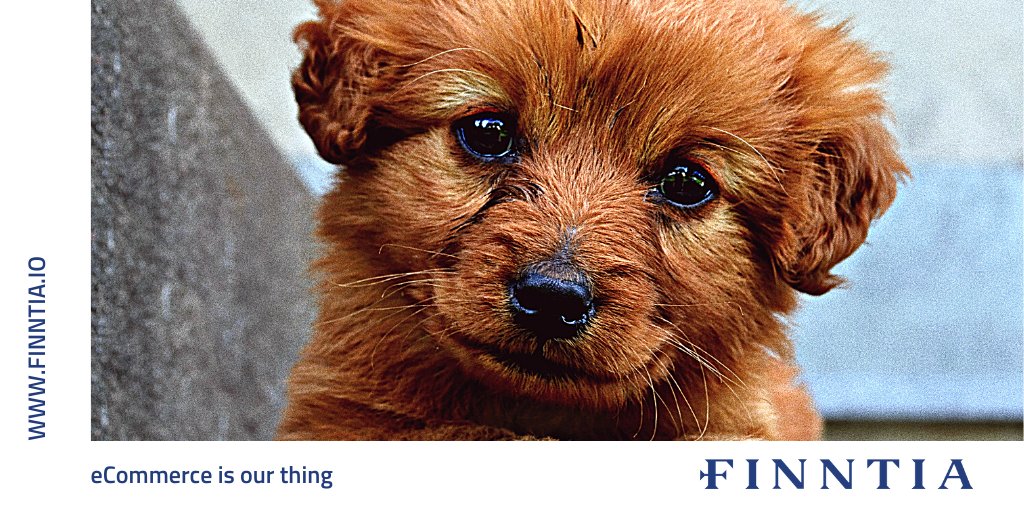 FinntiaSolution's tweet photo. Do you know pet food and pet supplies are the second and third biggest eCommerce CPG categories across the industry? Let us help you embrace success with the eCommerce store. 

#puppyday #petindustry #ecommerce #onlineretail #ecommercewebsite #onlineshop #sellonline #enterpreneur https://t.co/M9IPbBhrHC