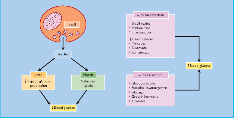 pharmahub_NG's tweet photo. 💊 These are #Drug that can #Cause #diabetes
▪️Statins e.g #crestor
▪️Beta-blockers e.g #propanolol
▪️Antipsychotics e.g #haloperidol
▪️Corticosteroids e.g #dexacotin
▪️Thiazide diuretics e.g #hydrochlorthiazide
Retweet for others! https://t.co/adEppOeyxX