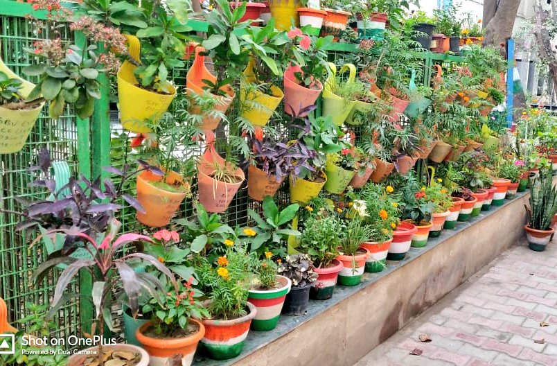 Dir_Education's tweet photo. Nature is a child's favourite playground.

Students of RSBV East Vinod Nagar planted 200 saplings in their school, that too in a single day under the able guidance of Head of School Ajay Kumar &amp; Teacher Richa.

A small step towards making our Delhi greener.🌳

#TeamEducationDelhi https://t.co/7NSinO9Mvz