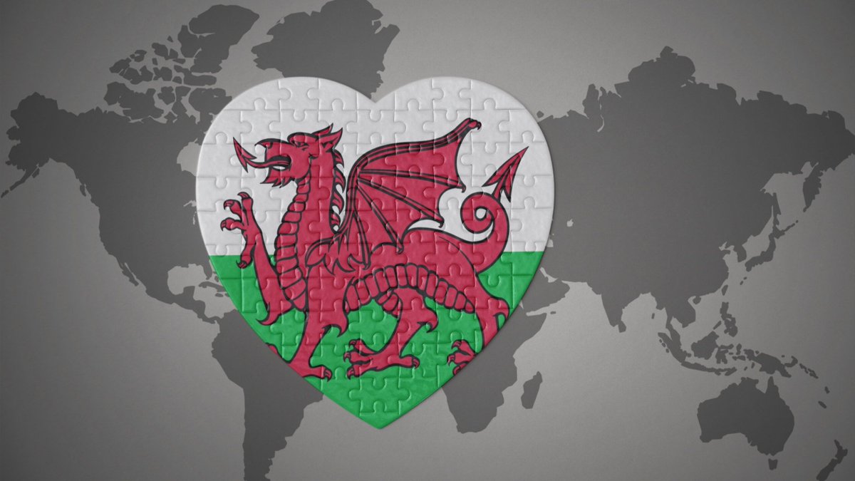 jim_dickinson's tweet photo. NEW on Wonkhe: For Gwen Williams, a Welsh replacement for Erasmus puts Welsh higher education firmly on the map @Unis_Wales https://t.co/rGmrwQ0thE https://t.co/JbCW6dSdSc