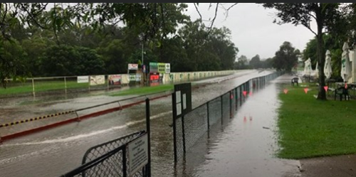 betdogsau's tweet photo. Breaking News

Ian Thorpe is the new favourite for the Capalaba Cup.

@Capalabagreys https://t.co/Mw7iIznAuq
