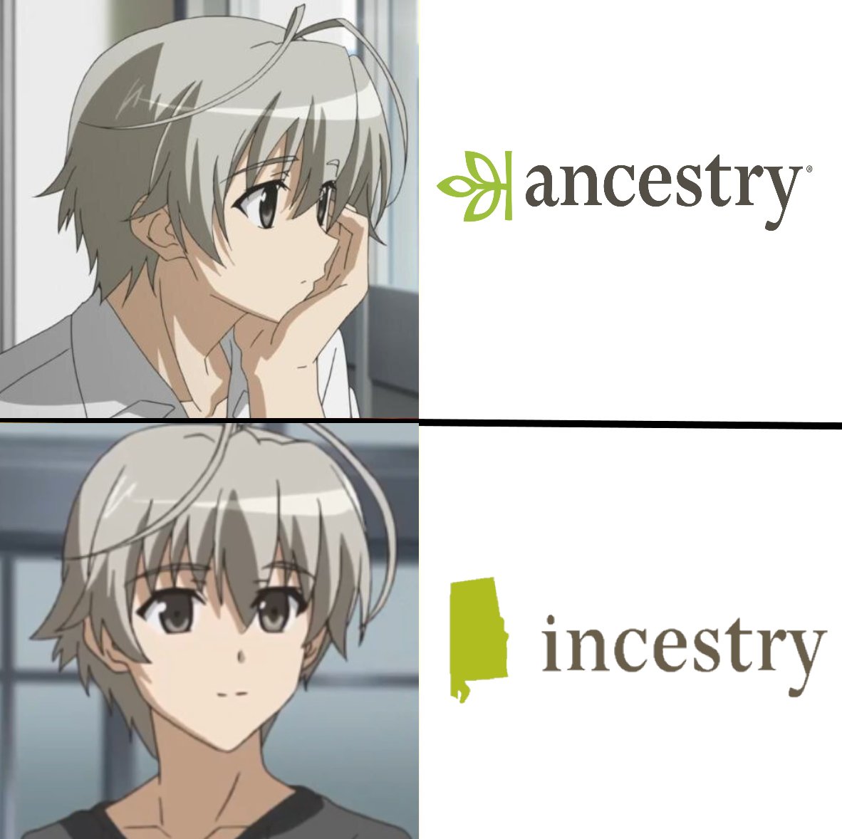 Anime Club After Dark on X: Incest: the most fun you can have with 50  chromosomes. #anime #YosugaNoSora t.cogcHhEk8LCV  X