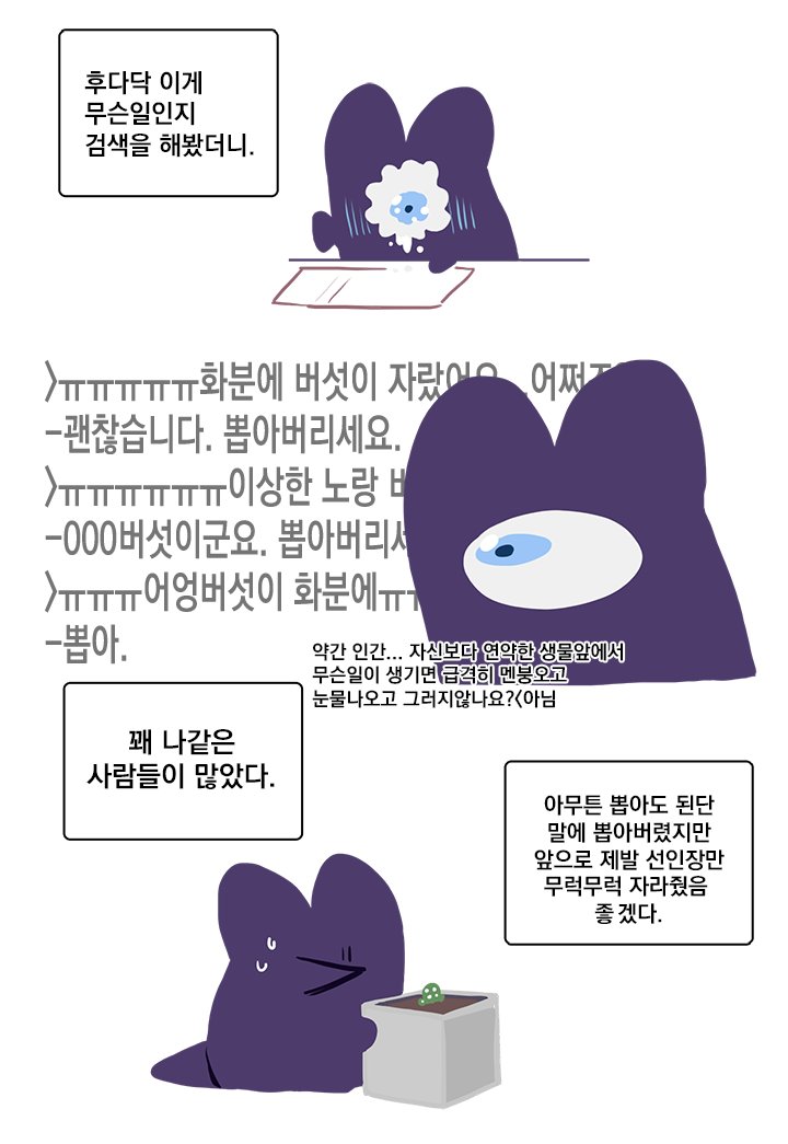 선인장 친구들 