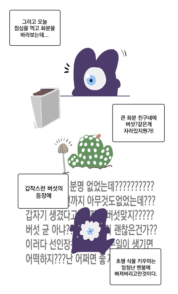 선인장 친구들 