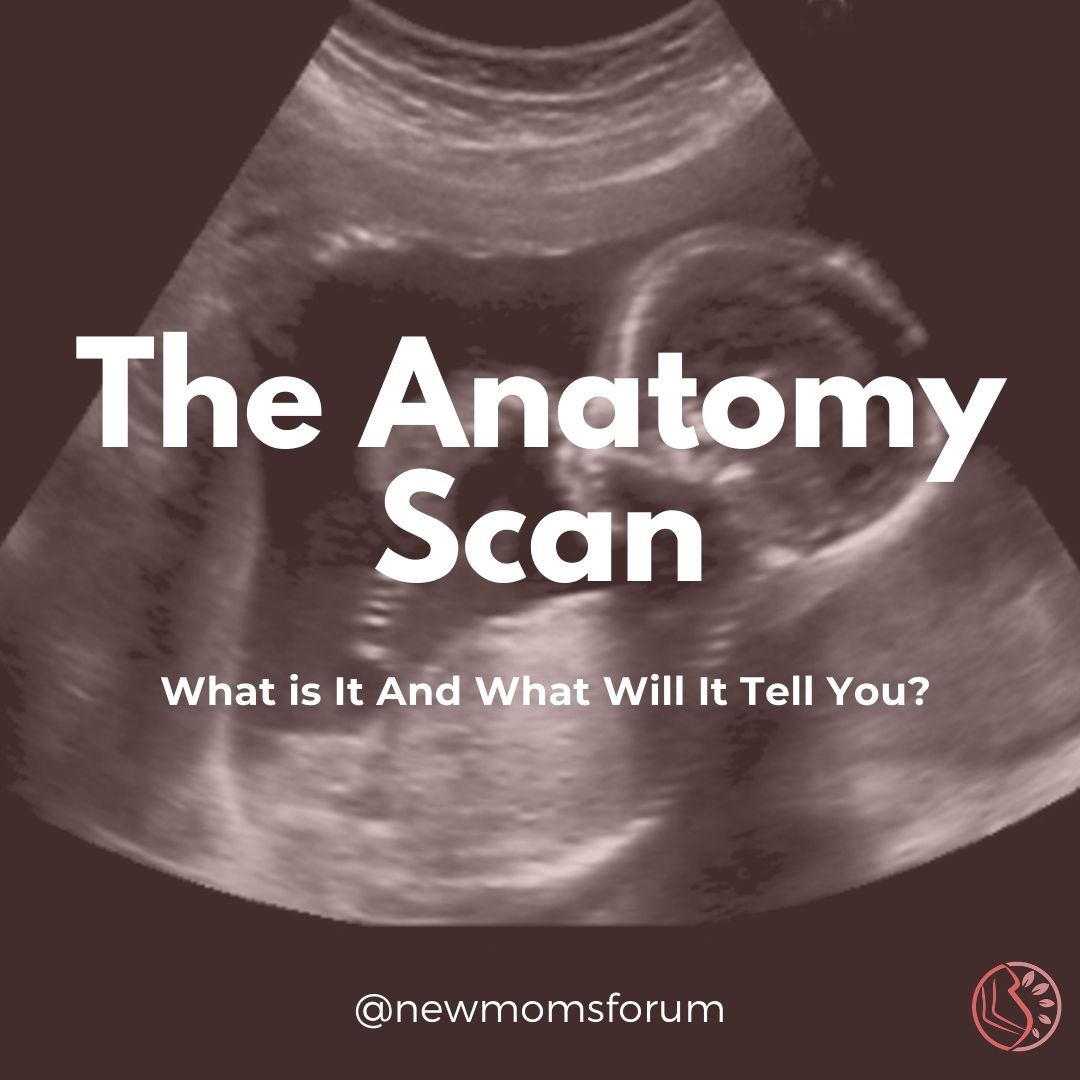 newmomsforum's tweet image. Anatomy Scan - What Is It And What Will It Tell You? -  #AnatomyScan #ultrasound Click the link below for more.  👉 Follow @newmomsforum for pregnancy advice, support and hugs daily. 🤗

newmomsforum.com/?p=10615