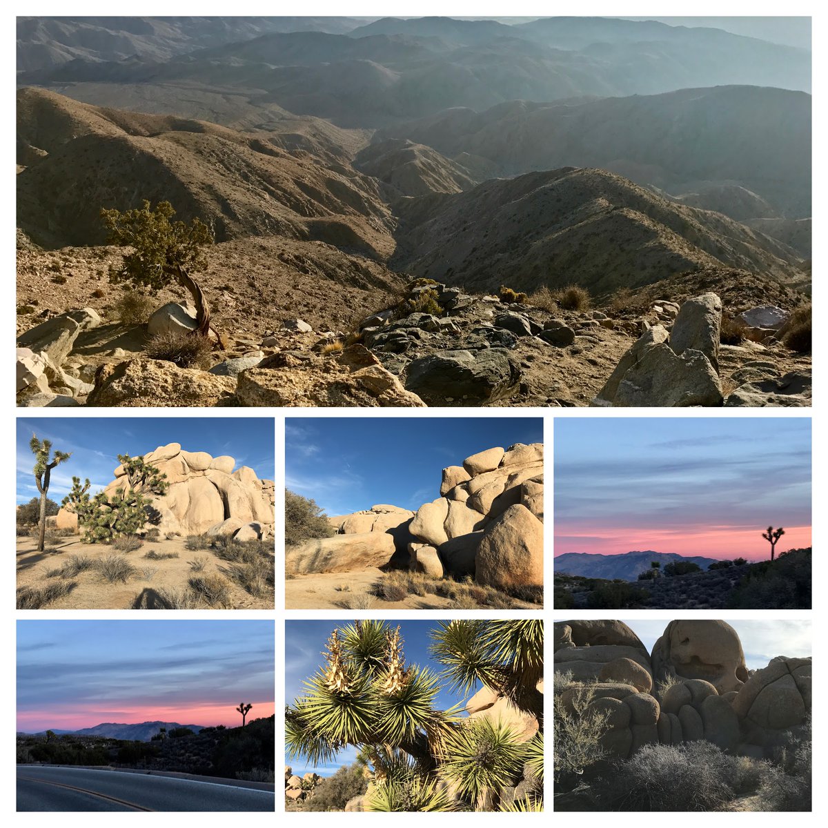 TimeTraveler911's tweet photo. 30 days, 30 favorites - #Day30 
Join my #virtualtraveltour and post your favorites - each day one for 30 days or just follow my virtual travel tour. Just name the location, no further explanation required. 
#ArmchairTravel #DreamNowTravelLater #JoshuaTree #California #Desert https://t.co/RCuKLTDnlp