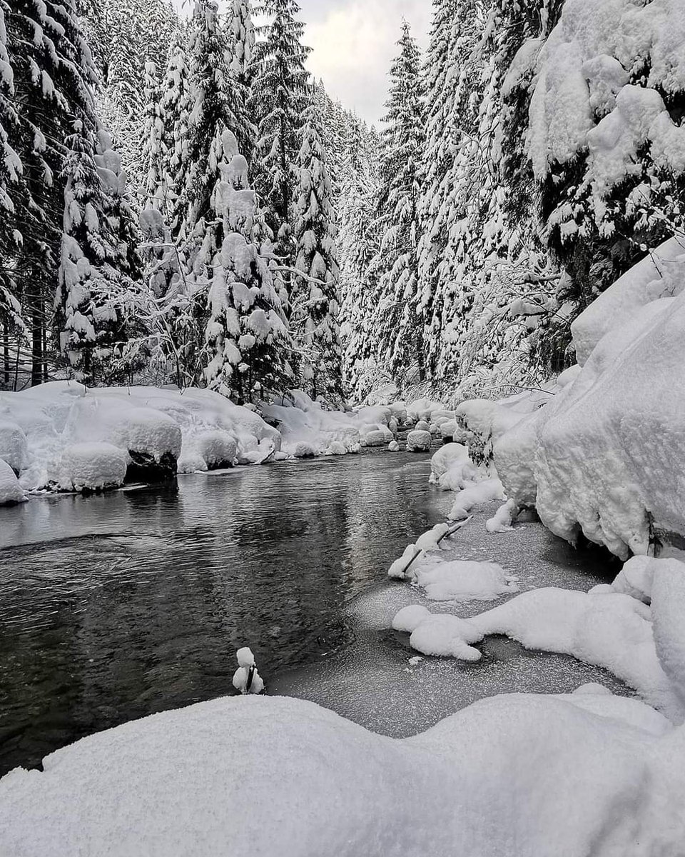 GOHunedoara's tweet image. Iarna, atât de simplă și frumoasă în liniștea naturii. 😘❄️🌲💧🗻
La Cheile Jiețului, Valea Jiului.
Foto Atilla Dobai
...
#cheilejietului #valeajiului #rauljiet #arieprotejata #muntiiparang #muntiisureanu #turismvaleajiului #petrila #petrosani #beautifulplanetearth #gohunedoara