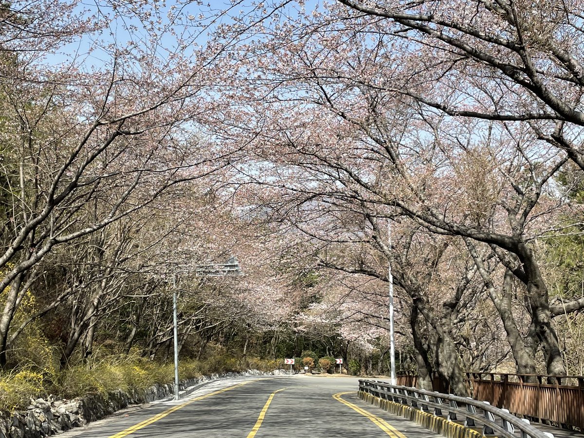 ㅇ tweet media
