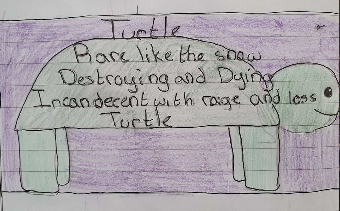 TBSyear5's tweet photo. Year 5 have written some powerful and vivid cinquains in English this week, around themes that are important to them #poetry #english #climatechange #stopplasticpollution #savethepanda #savetheturtle https://t.co/F6hYVYndZv