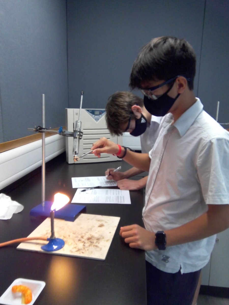 dbis_sci's tweet photo. Year 9 burning different foods to calculate the energy they contain. 
#sciEd #science #biology https://t.co/isb5UYr0xy