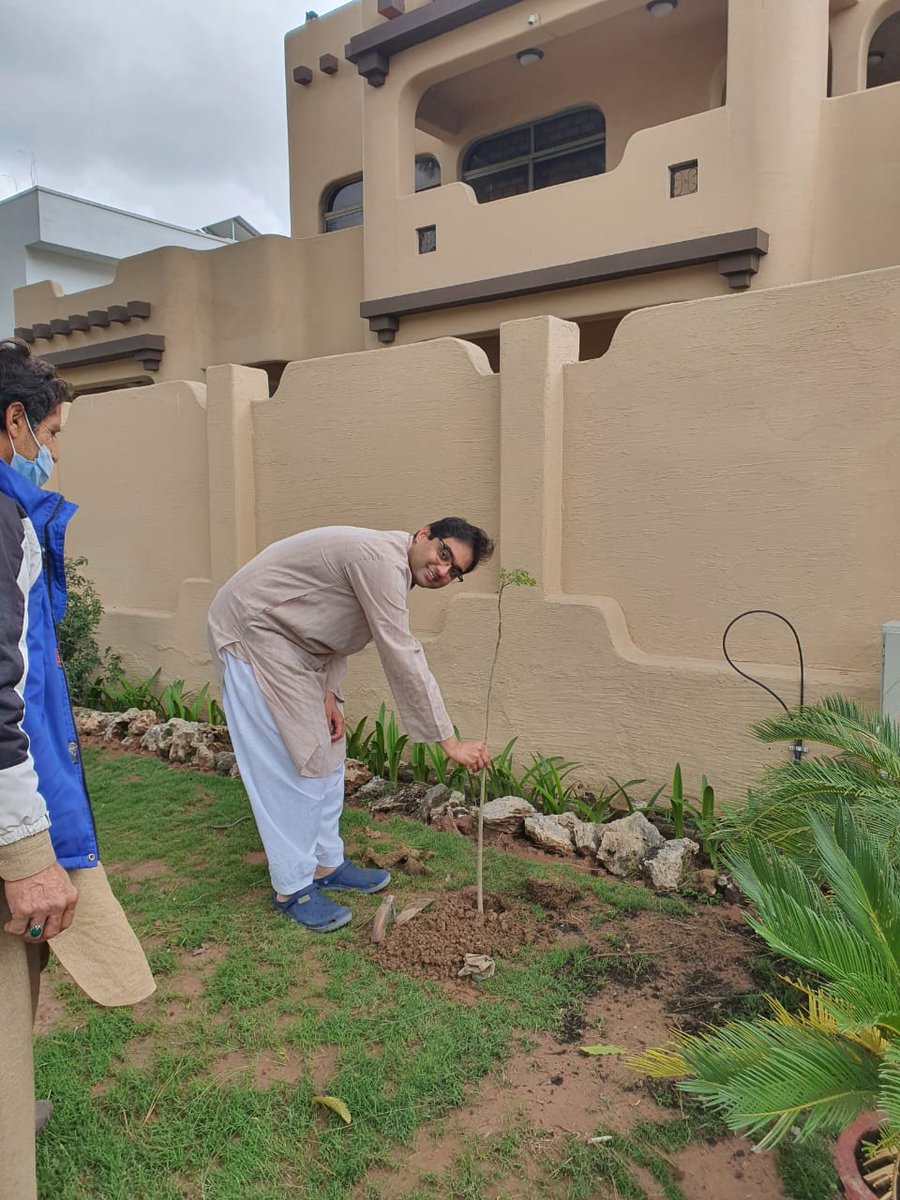 alam_17's tweet photo. Planted Morinaga outside. Hope people will be benefitted.
#HealthyLiving #Environment #NA54 #UC29 #Islamabad https://t.co/BtCilnNDP6