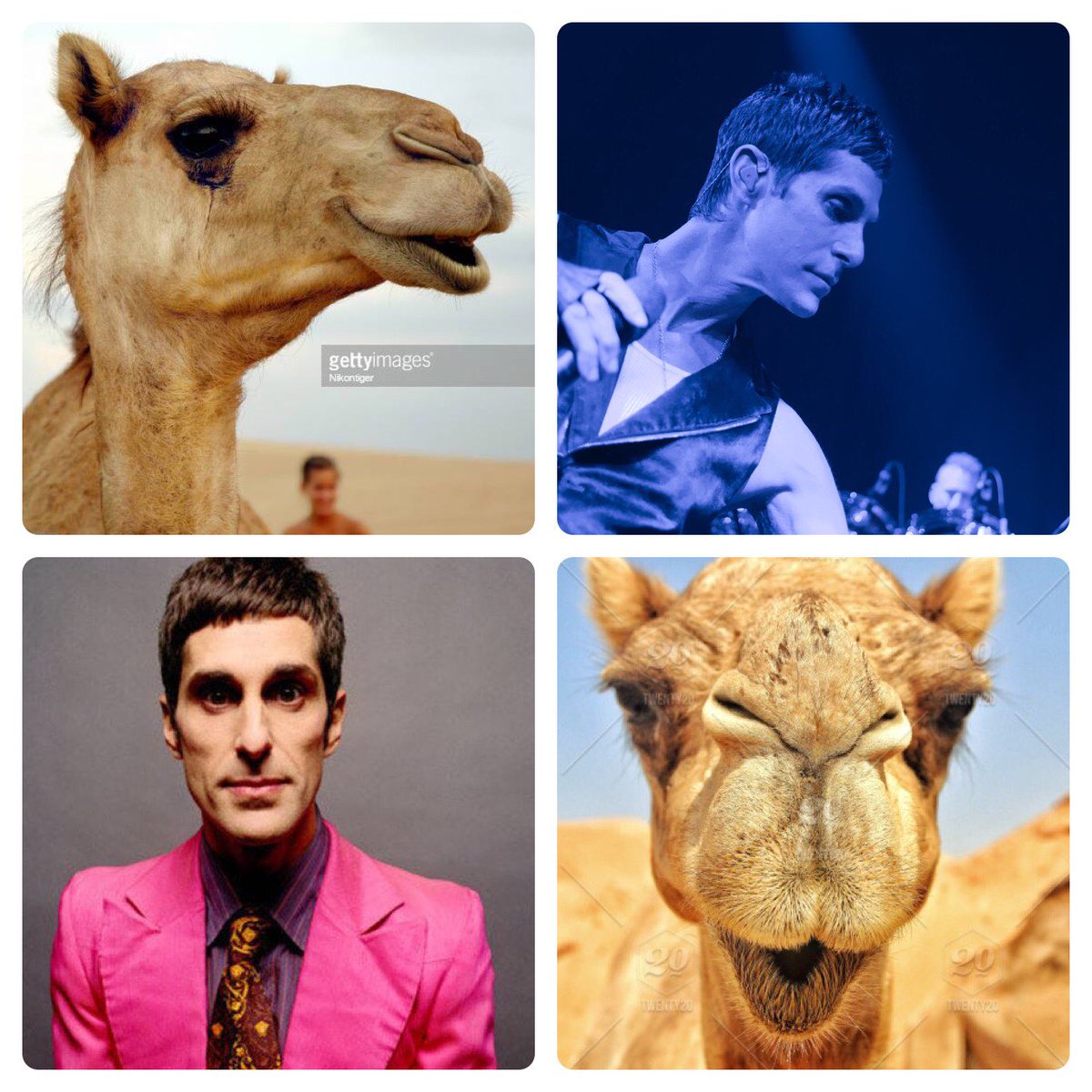 Hey @laurenlaverne <a href="/BBC6Music/">BBC Radio 6 Music</a> apropos to nothing, it’s clear to me that Nicki Minaj looks like Eugine the Jeep from Popeye, and Paharrell Williams looks like a cat, but  have you ever noticed how much Perry Farrell looks like a camel?