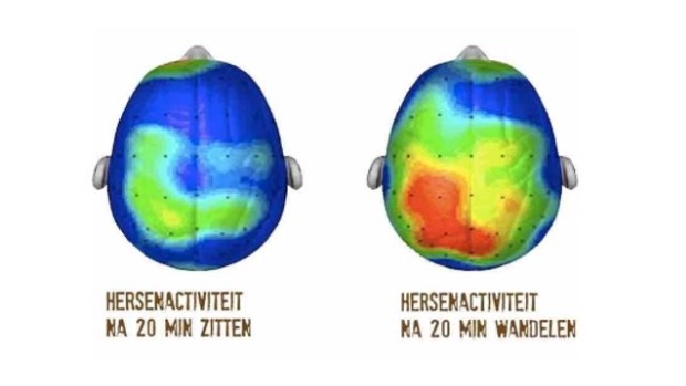 HC_Health's tweet photo. Dit is jouw #hersenactiviteit na 20 minuten zitten. Redenen genoeg om in #beweging te komen! En dat hoeft echt niet saai te zijn. Zo kregen de interne vitaliteitsambassadeurs van @TNO_nieuws een vitale Energizer van fysiotherapeut Natalie Lajqi! https://t.co/7BrXugQdQ6