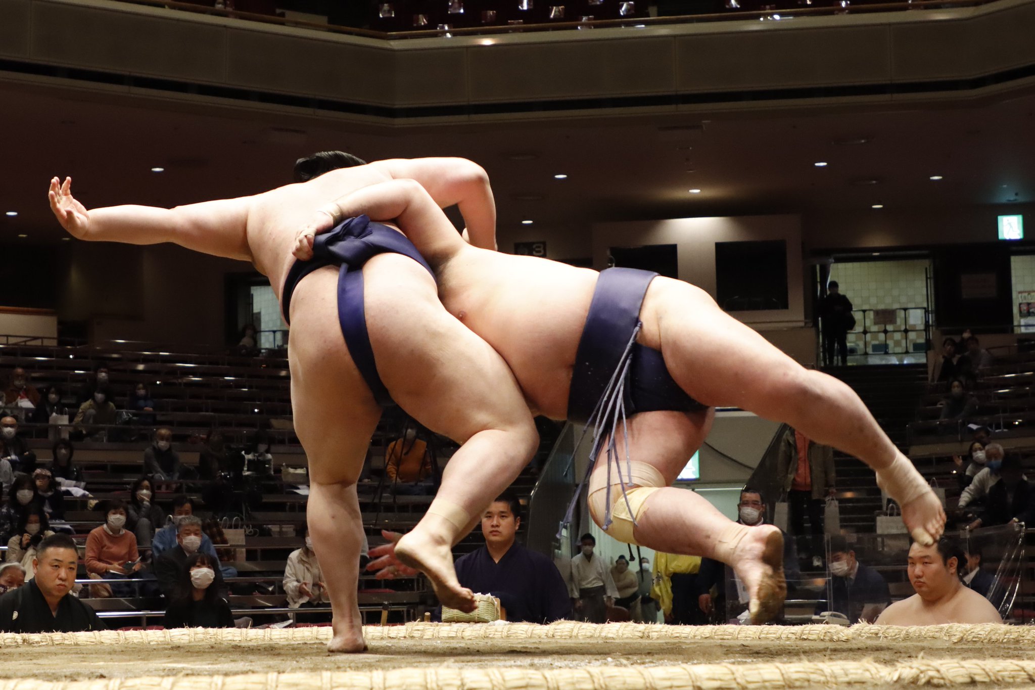 珍品 相撲 呼出 羽織 （鈴廣） 充て