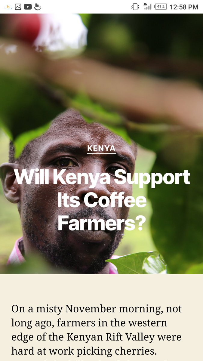 Despite Kenyan coffee being ranked amongst the best quality coffee globally, farmers get paid very poorly for their produce. Many farmers I’ve spoken to here blame the poor prices for the fall in production. #kenyancoffee specialprojects.sprudge.com/?p=30&fbclid=I…