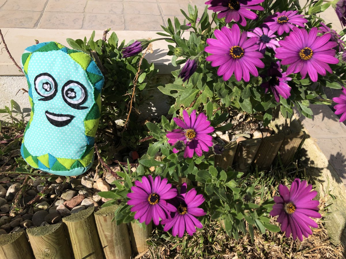 SBROING's tweet photo. Já é tão Primavera, verdade? Aproveitem o melhor que puderem estes dias de solinho mágico! #sbroing #audiocontos #audiolivros #primavera #paz #amor #crianças https://t.co/QS9tw4qYs0