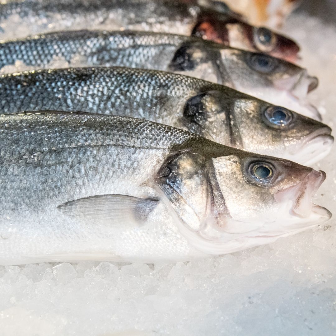 AldenFishmarket's tweet image. A new week and a load of fresh new fish on the #fishcounter 🐟Come down to store to pick up yours, along with fresh #fruit, #vegetables and pantry essentials! #AldensofOxford #LocalProduct