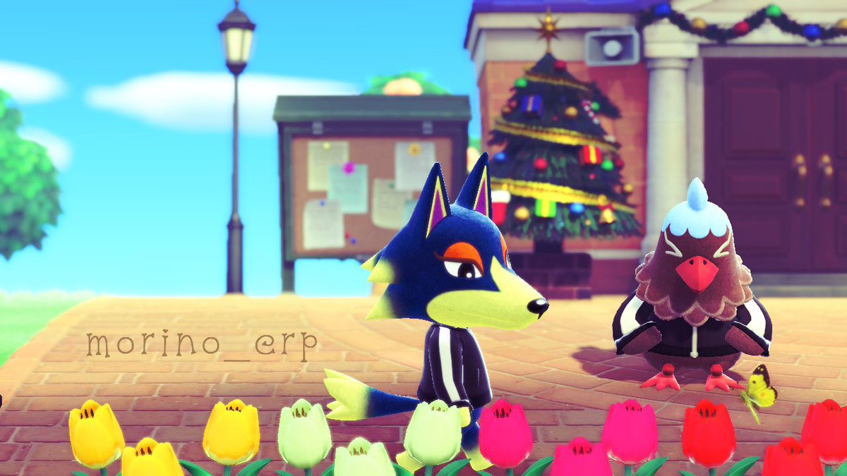 morino_erp's tweet photo. 新・集中力つづかない
#あつまれどうぶつの森  #あつ森 #どうぶつの森  #AnimalCrossing  #ACNH #あつ森写真部 #ACNHphotography #ロボ #パタヤ #あつ森ロボ #あつ森パタヤ #acnhwolfgang #acnhplucky https://t.co/RgaDWK1nZx