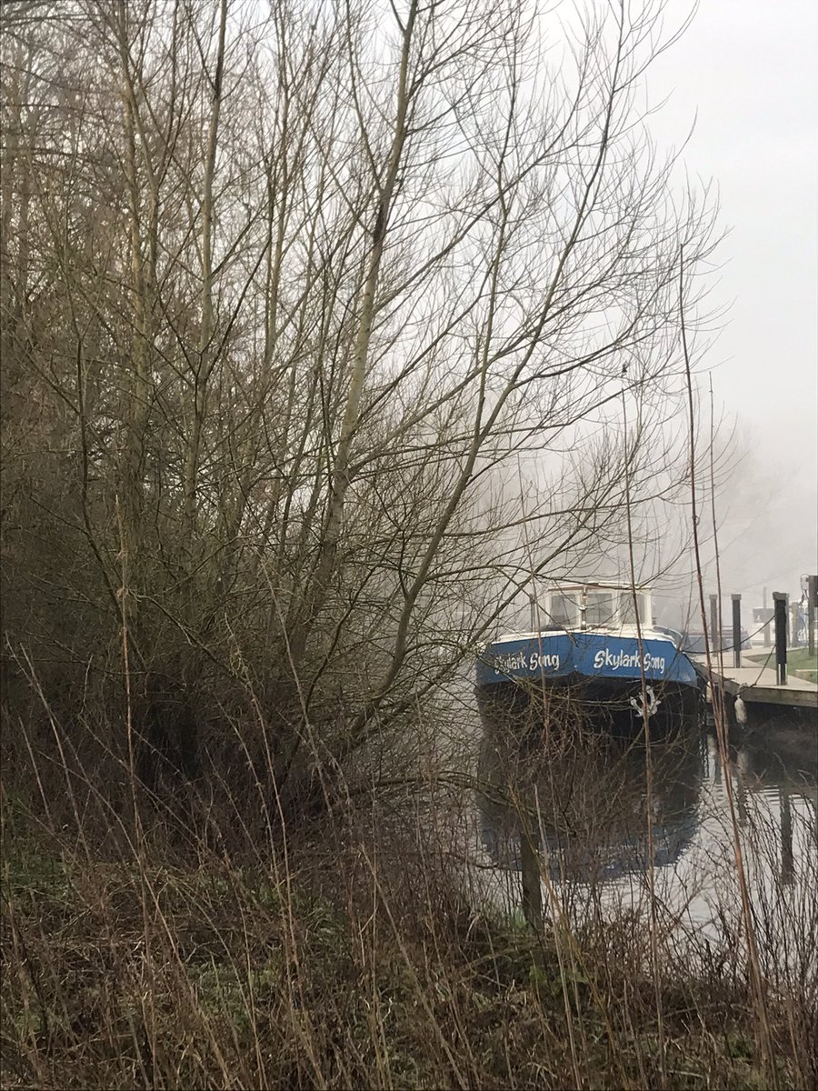 alk_info's tweet image. Je n’ai vu personne pendant ma promenade ce matin.

I didn’t see anyone during my walk this morning.

#morning #solidude #peaceful