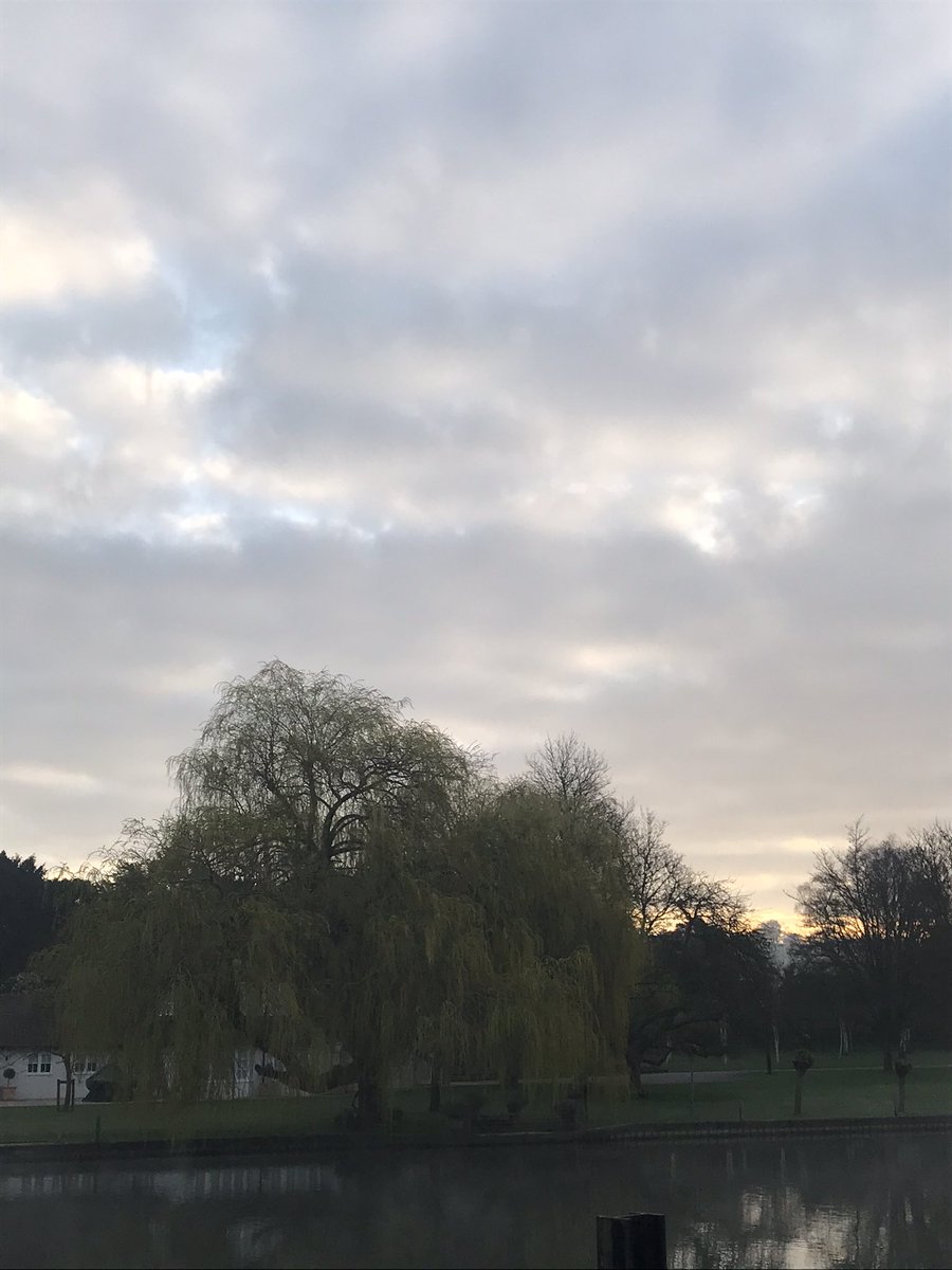 alk_info's tweet image. Je n’ai vu personne pendant ma promenade ce matin.

I didn’t see anyone during my walk this morning.

#morning #solidude #peaceful