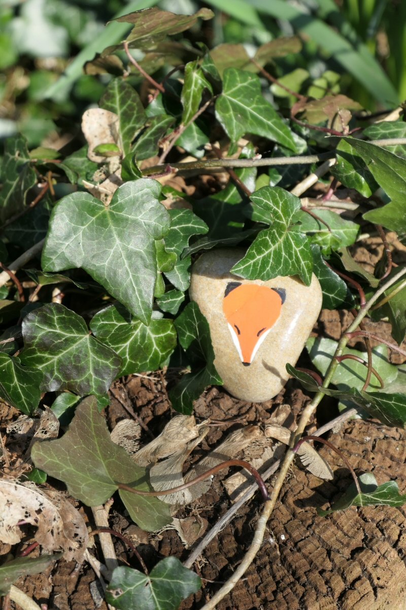 Ange1ica's tweet photo. My little fox rock painting put on a tree stump for someone to find.
#rockpainting #fox #paintedpebble #crawleyrocks #hiddenrockart https://t.co/Uor4ZPjw22