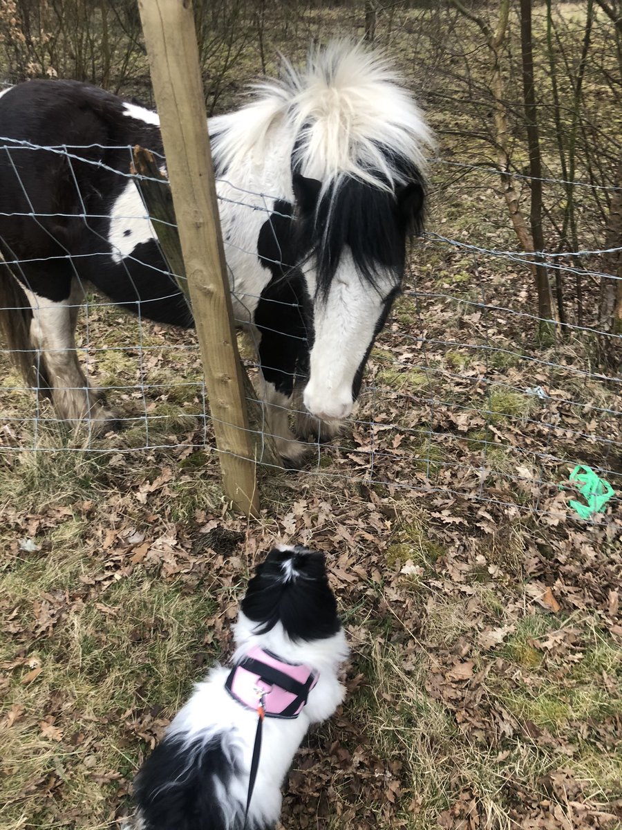 Someone’s slightly more sociable than her owner first thing in the morning!
