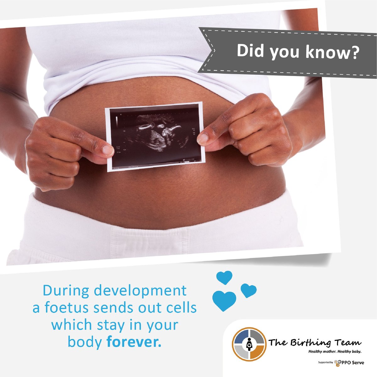 thebirthingteam's tweet photo. #Pregnancyfact - research has shown that babies' cells remain inside a mother's body for as long as 38 years after pregnancy. The cells don't just remain in a woman's uterus but migrate throughout her body, impacting everything from her lungs to her brain. https://t.co/zrQ8XvMu0W